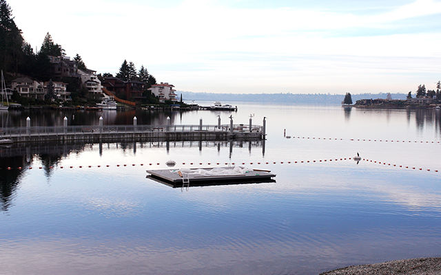 Lake to Lake Meydenbauer Bay Net.jpg Lake to Lake Meydenbauer Bay Net.jpg