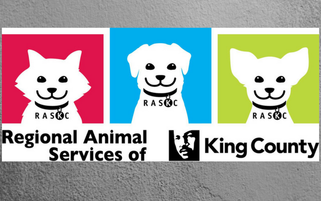 Pet_licensing_Aug2017.png Pet_licensing_Aug2017.png