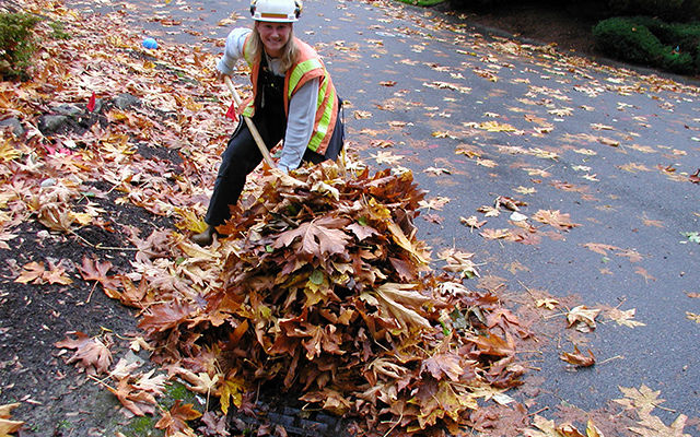 Raking-Leaves-Trisha-Tyo.jpg Raking-Leaves-Trisha-Tyo.jpg