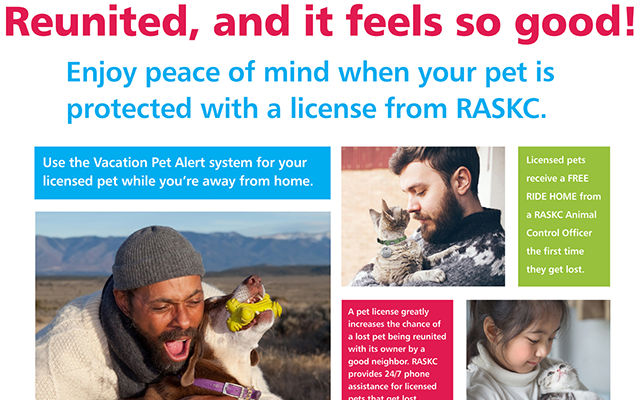 Reunited-Pet-Licensing-Web.jpg Reunited-Pet-Licensing-Web.jpg