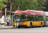 Image of a RapidRide bus in Bellevue