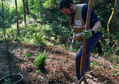 Master naturalists help with park restoration like this tree planting.