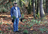 Forest management supervisor Rick Bailey holds two sequoia seedlings.