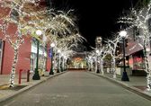 Northeast Sixth Street is ablaze with holiday lights by Bellevue Way.