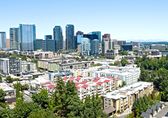 Aerial view of Bellevue community