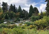 Bellevue Botanical garden