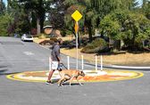 Man and dog near mini roundabout