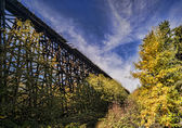 A walking tour of Wilburton, home of the landmark trestle, is among the activities at the Experience Bellevue! conference.