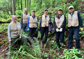 Bellevue naturalists help restore Weowna Park forest.
