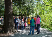 A group of people tours Bellevue Botanical Garden as part of Earthfest in 2024.