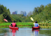 Two people kayak the Mercer Slough toward downtown Bellevue.