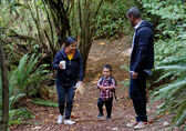 A man, woman and child walk along a forest trail.