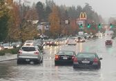 Vehicles traveling in high water on a flooded street. Additional vehicles and trees in the background.