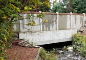 The Kelsey Creek Culvert