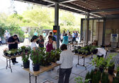 People look at tables with plants on them at the Bellevue Botanical Garden.
