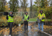 Three boys walk with saplings they received from Bellevue's tree giveaway.
