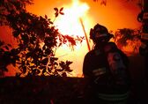 Firefighter in trees