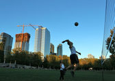 Downtown-Park-Volleyball.jpg