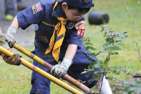a boy scout  planting  tree