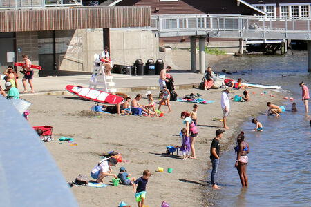 Swimmers flock to Meydenbauer Bay Park on a summer day.