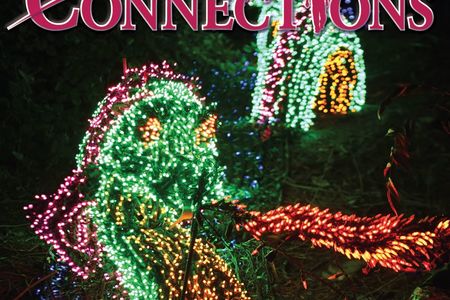 Cover of November & December edition of Connections, featuring a green dragon with purple and orange accents assembled from lights. The dragon breathes fire, which is assembled from red and orange lights.