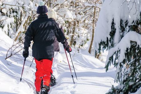 Image of 2 people snowshoeing on snow covered trail 