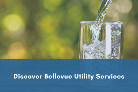 Discover Bellevue Utility Services