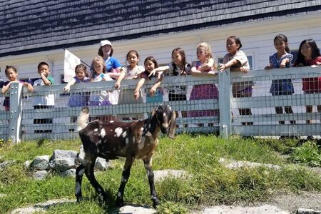 Image of Children Viewing a Goat