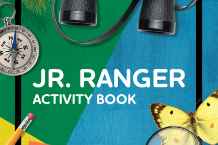 front cover of jr ranger activity book shows binoculars, compass, magnifying class over butterfly and pencil and paper