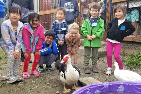 Image of children and ducks