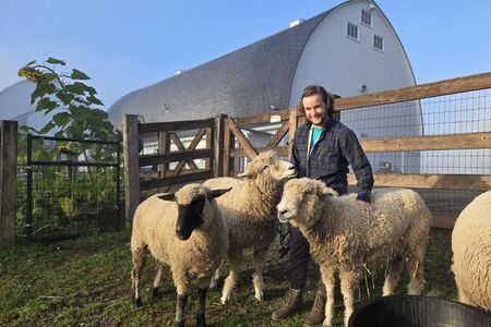 Image of volunteer with sheep