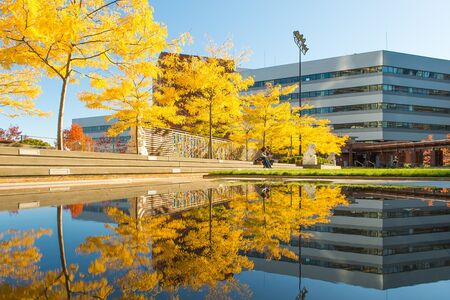 Image of City Hall Plaza