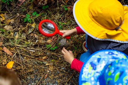 Children using magnifying glass to explore outdoors