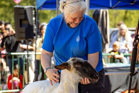 Woman standing on a stage with a sheep