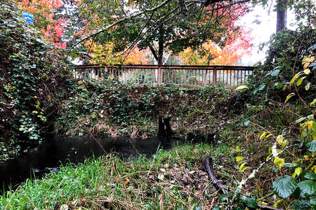 Kelsey Creek Culvert Crossing