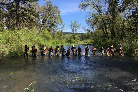 People in waders in a creek.