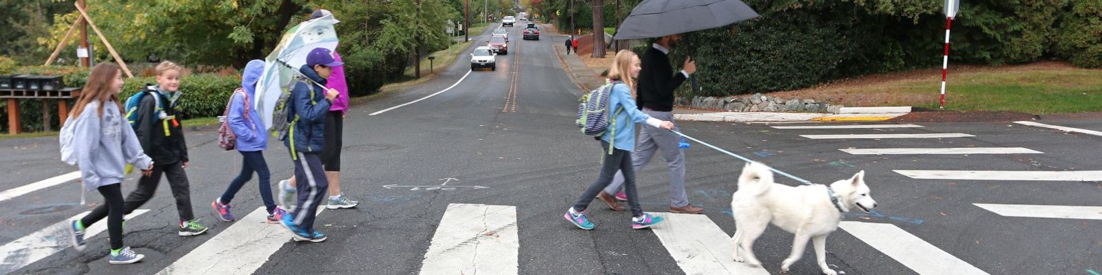 Pedestrians walking to school