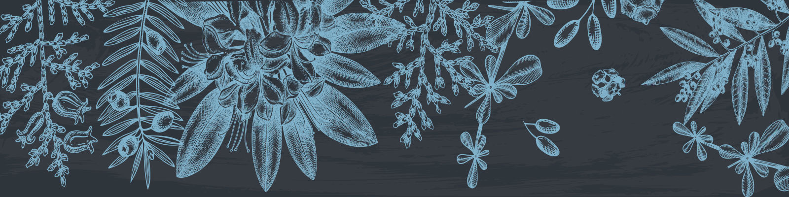 Light blue botanical design against a dark background to represent reflection, healing and unity.