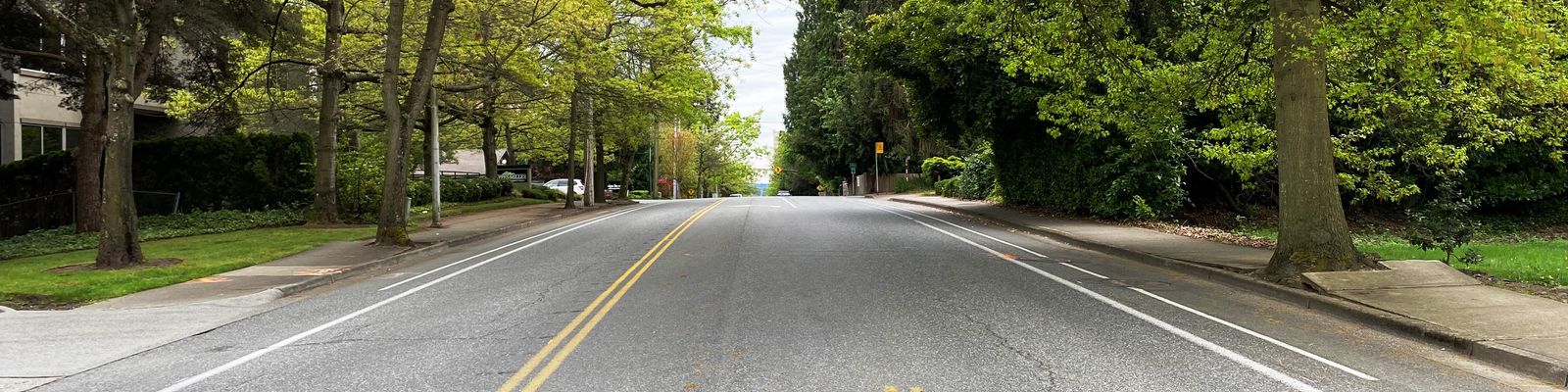 Image of 112th Avenue NE with buckled sidewalk