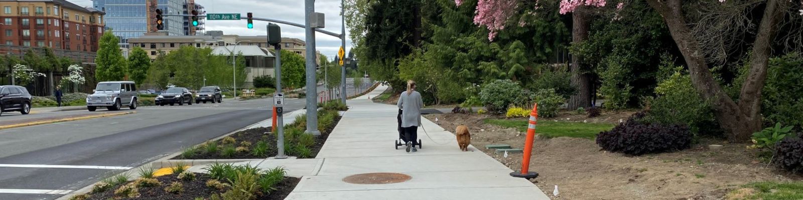 Pedestrian and dog on multipurpose path