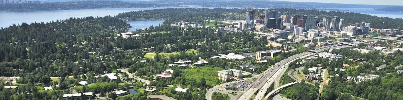 Aerial of Bellevue over 405 large image