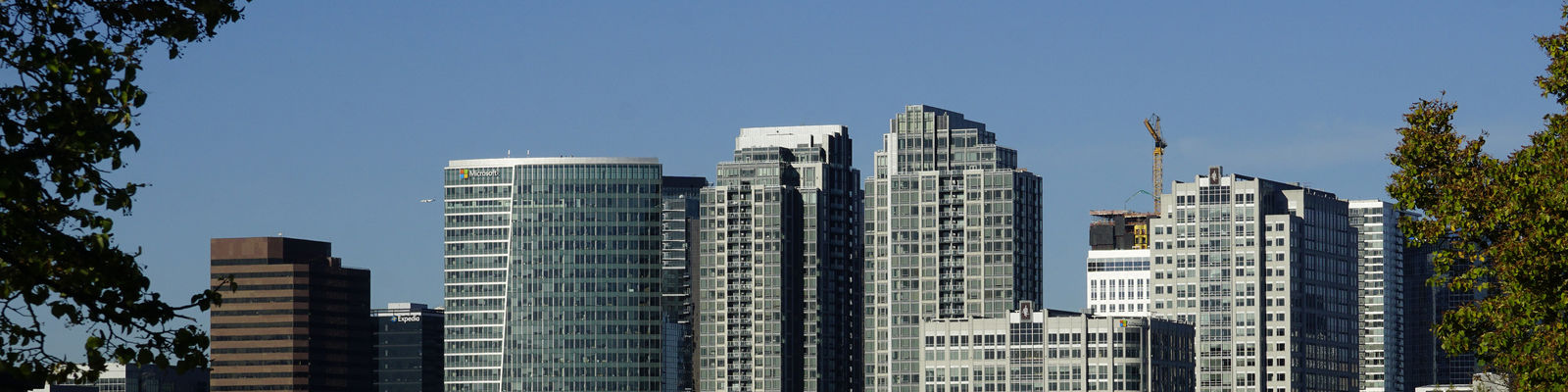 Downtown buildings from an eastern view