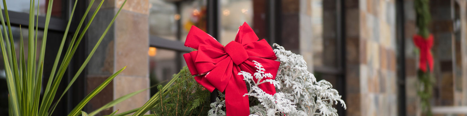 Christmas Bow in front of business