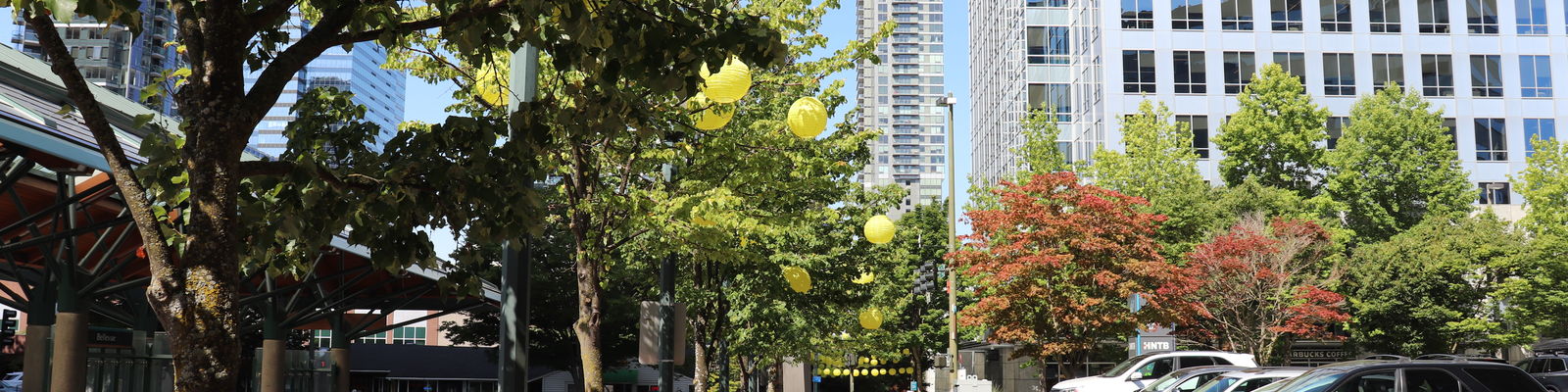 Yellow lanterns in Downtown
