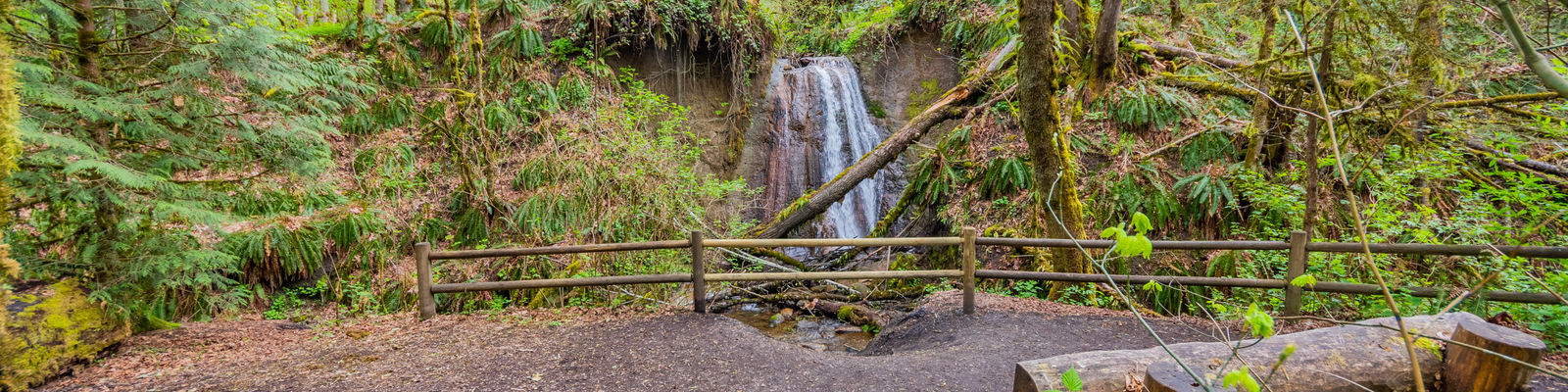 landscape photo of park with waterfall in center