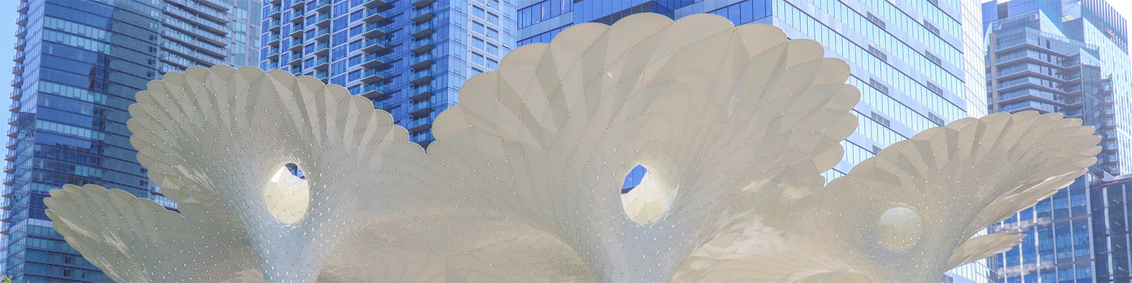 The white, organic, fluted top of the sculpture Piloti in the foreground is juxtaposed with the rigid lines of the glass skyscrapers in the background.