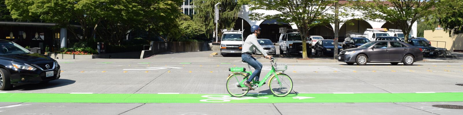 Green bike lane stipe on the road with a person riding a Lime bike. Cars parked in the background. 