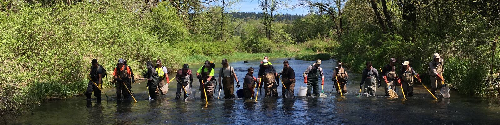People in waders in a creek.