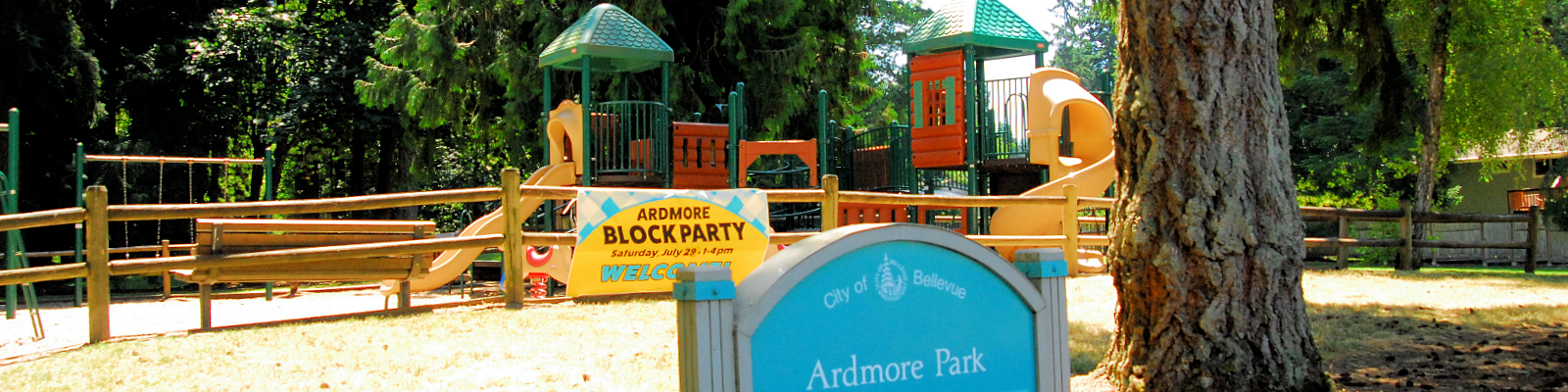 Ardmore Park City Of Bellevue
