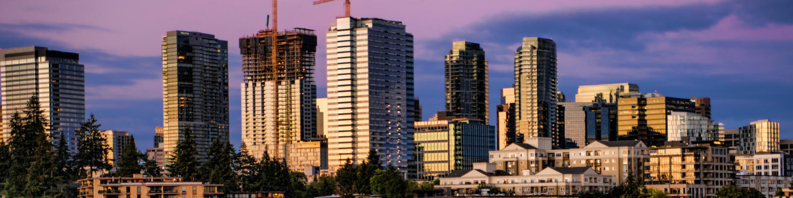 bellevue_41389526910.jpg bellevue_41389526910.jpg